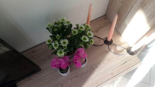 Jordanapartment Porec Luaran gambar